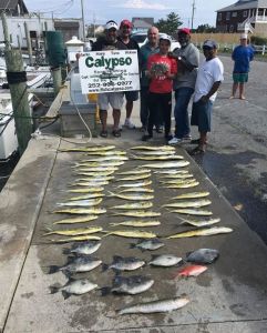 Calypso Sportfishing Charters photo