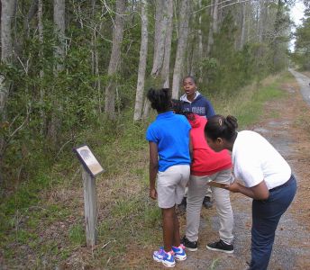 Coastal North Carolina National Wildlife Refuges photo