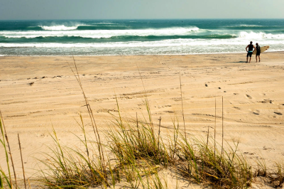 Natural Art Surf Shop photo