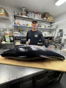 Diamond Shoals Restaurant &amp; Sushi Bar photo