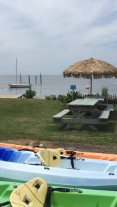 Rodanthe Watersports &amp; Campground photo