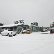 The Froggy Dog Restaurant & Pub, Gallery