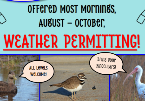 Slash Creek Outfitters, Bird Migration Tours