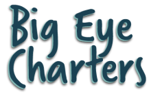 Big Eye Charters