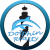 Dolphin Realty